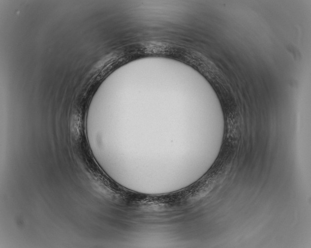 X0000112050648200908250959