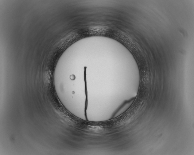 X0000112050649200908250959