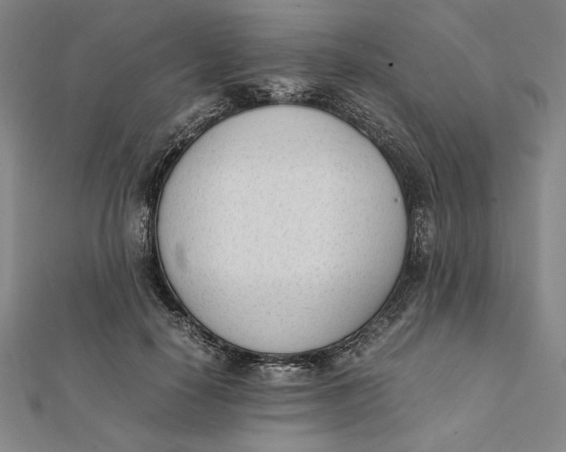 X0000112050650200908250959