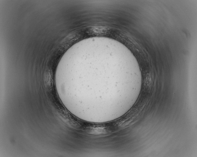 X0000112050651200908250959