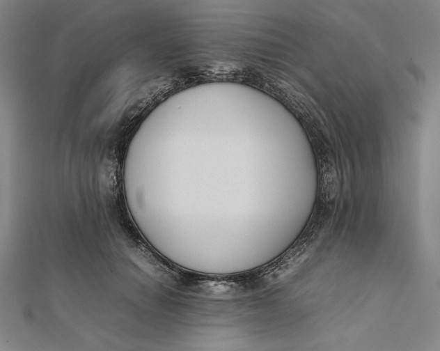 X0000112050654200908250959