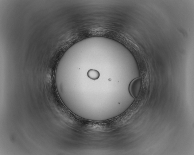 X0000112050655200908250959