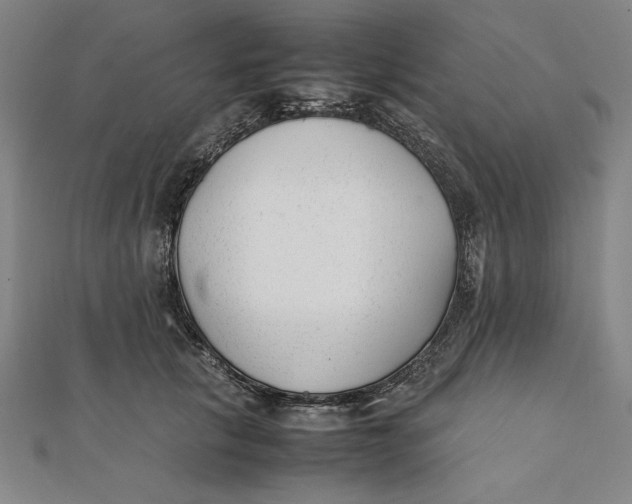 X0000112050657200908250959