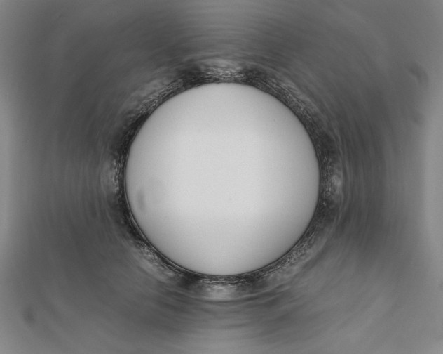 X0000112050658200908251000