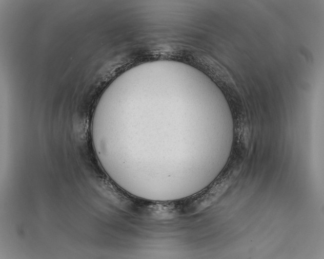 X0000112050660200908251000