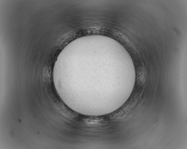 X0000112050661200908251000