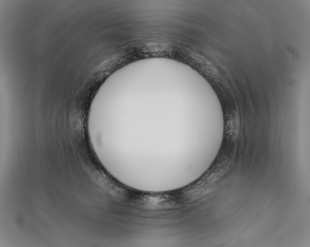 X0000112050662200908251000