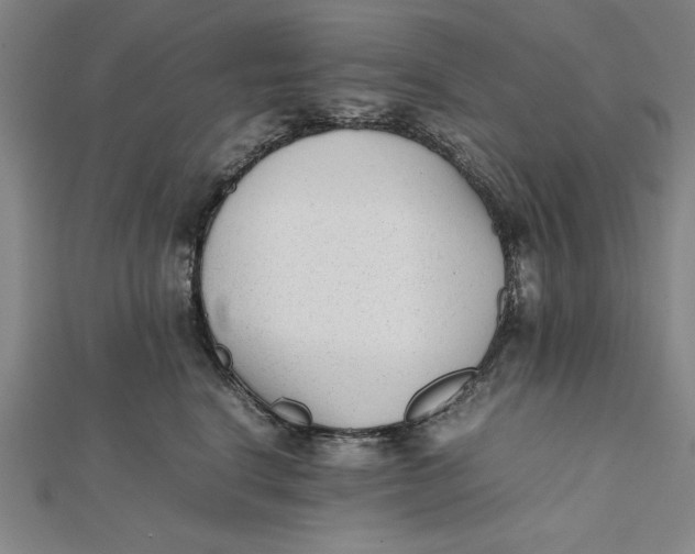 X0000112050664200908251000