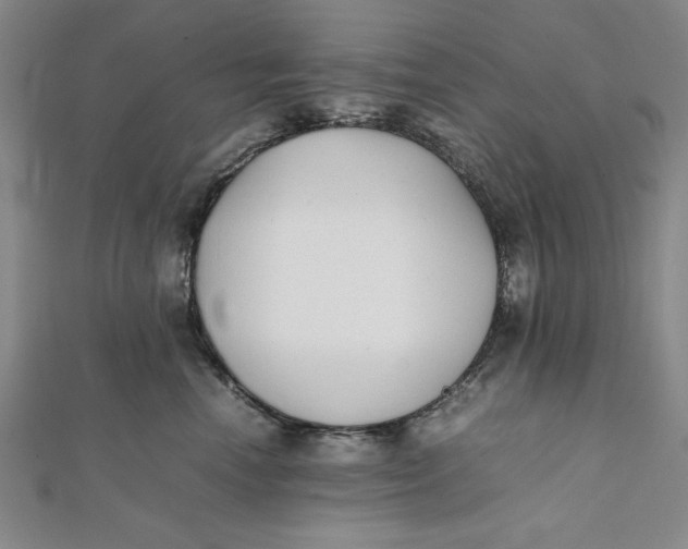 X0000112050666200908251000