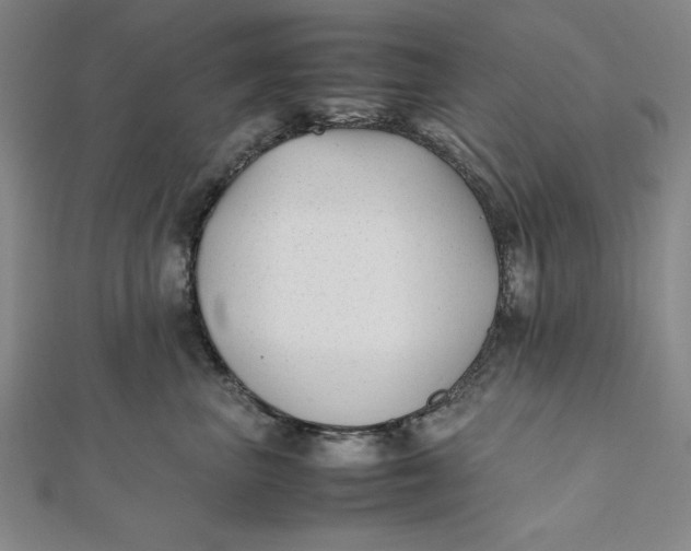 X0000112050667200908251000