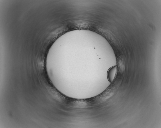 X0000112050668200908251000