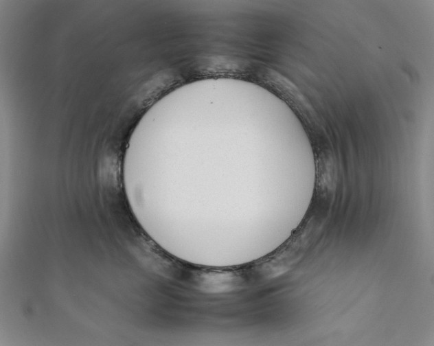 X0000112050669200908251000