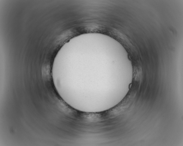 X0000112050670200908251000