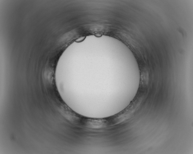 X0000112050671200908251000