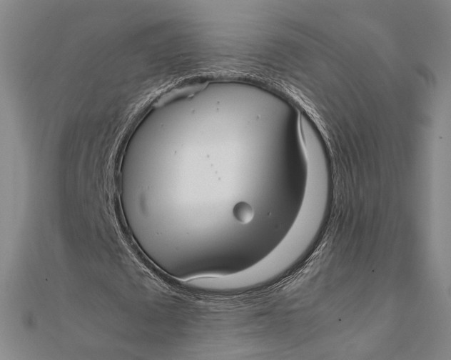 X0000112050673200908250959