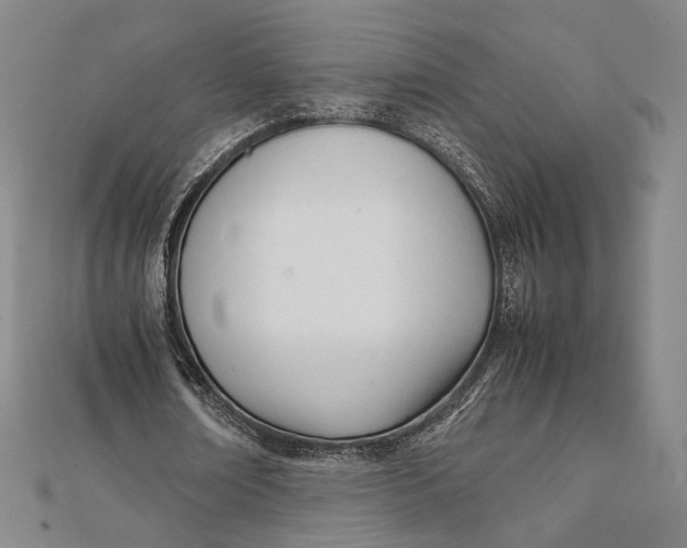 X0000112050674200908250959