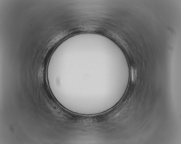 X0000112050675200908250959