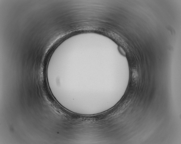 X0000112050676200908250959