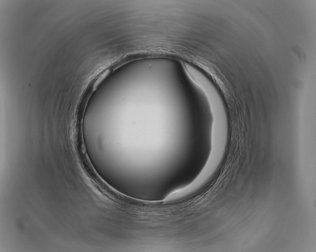 X0000112050677200908250959