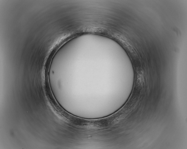 X0000112050678200908250959