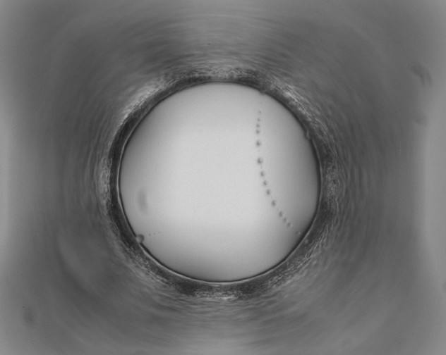 X0000112050679200908250959