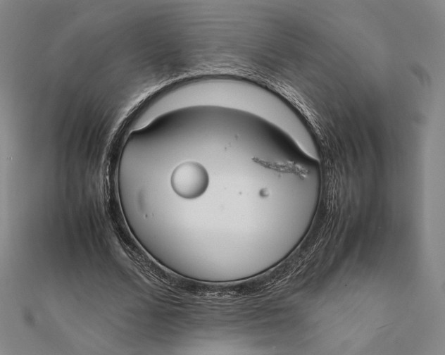 X0000112050680200908250959