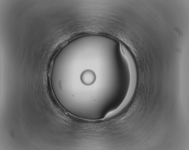 X0000112050681200908250959