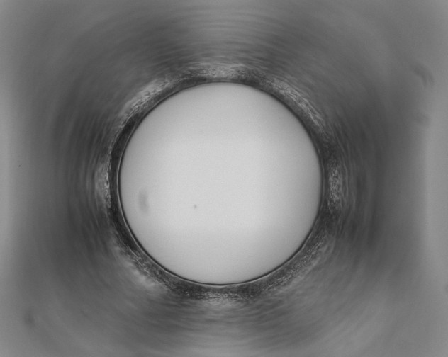 X0000112050682200908250959