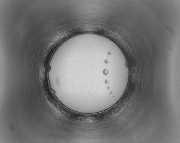 X0000112050683200908250959