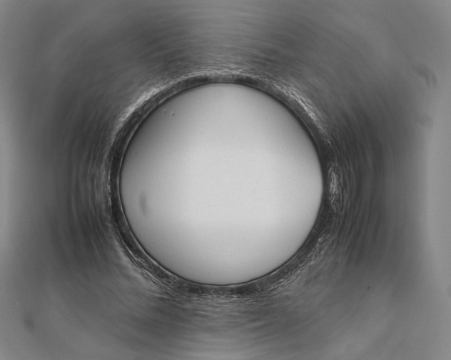 X0000112050684200908250959