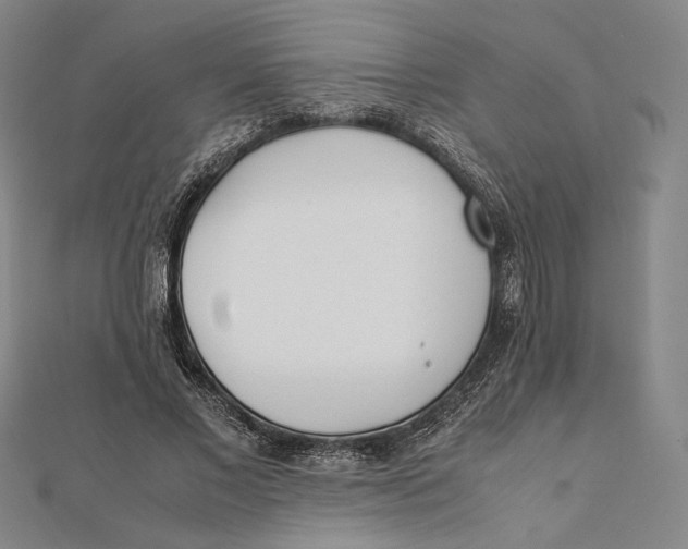 X0000112050685200908250959