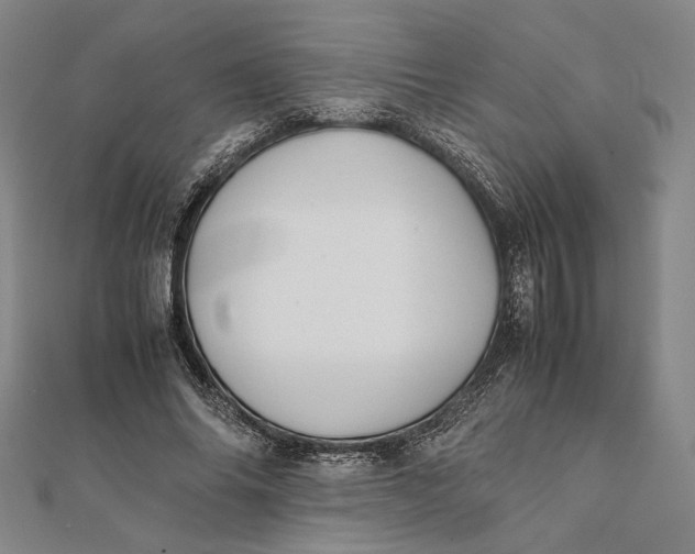 X0000112050686200908250959