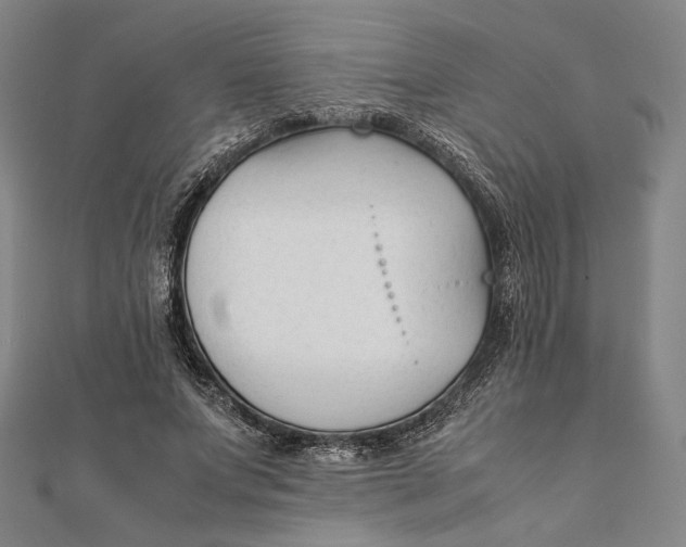 X0000112050687200908250959