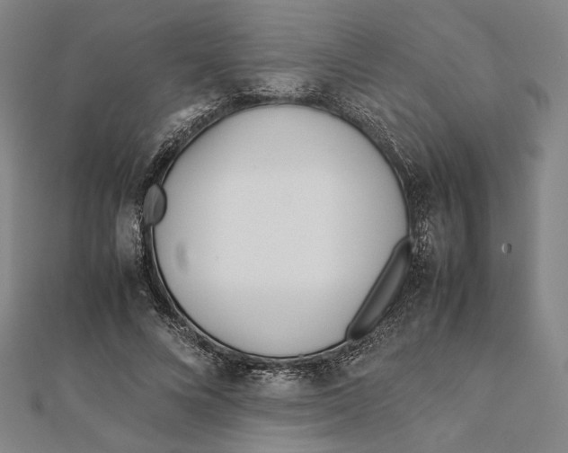 X0000112050688200908250959