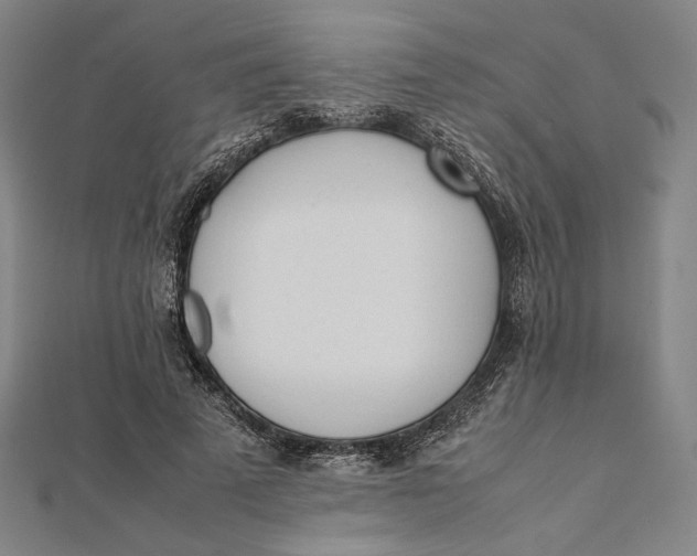 X0000112050689200908250959