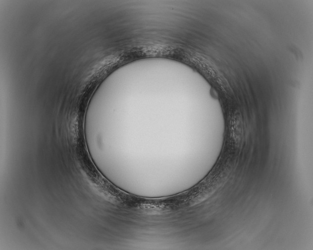 X0000112050690200908250959