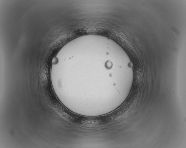 X0000112050691200908250959