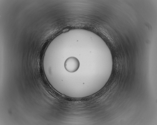 X0000112050692200908250959