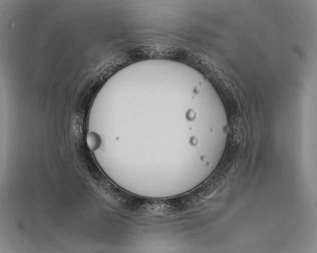 X0000112050695200908250959