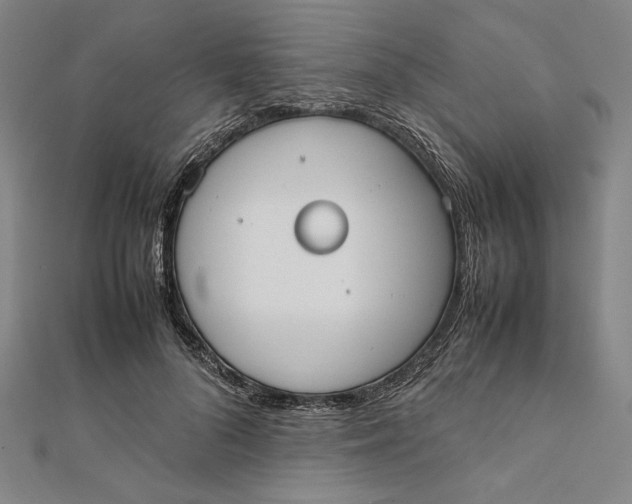 X0000112050696200908250959