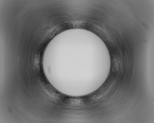 X0000112050698200908250959