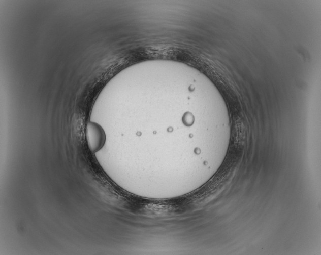 X0000112050699200908250959