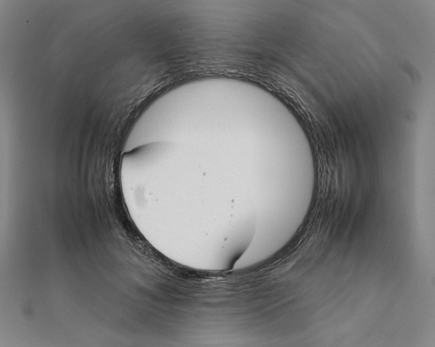 X0000112050700200908250959