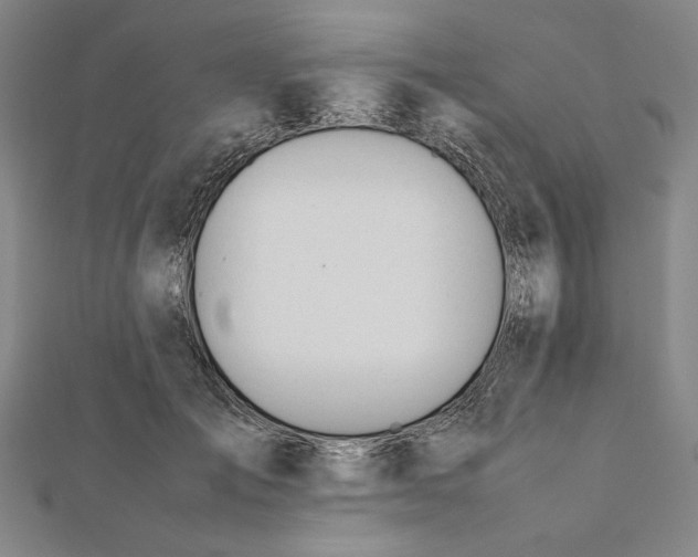 X0000112050701200908250959