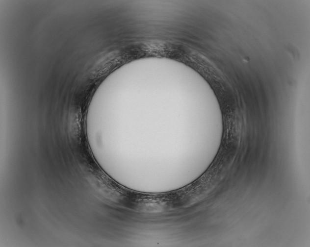 X0000112050702200908250959