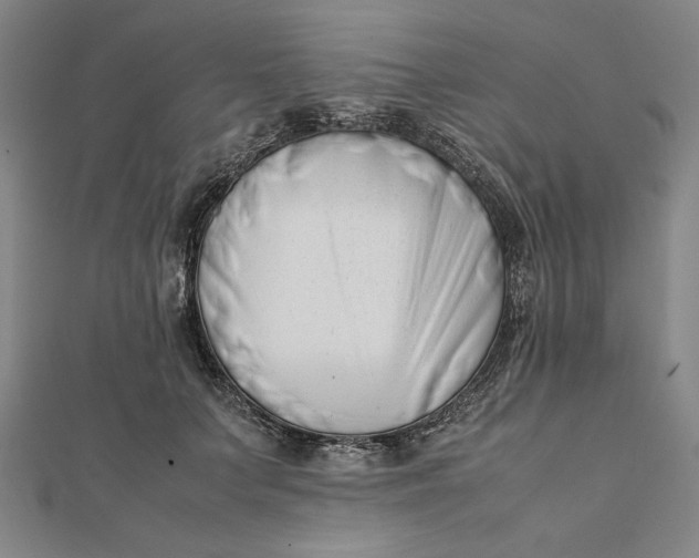 X0000112050703200908250959