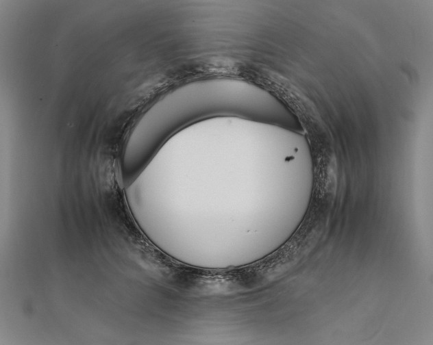 X0000112050704200908250959