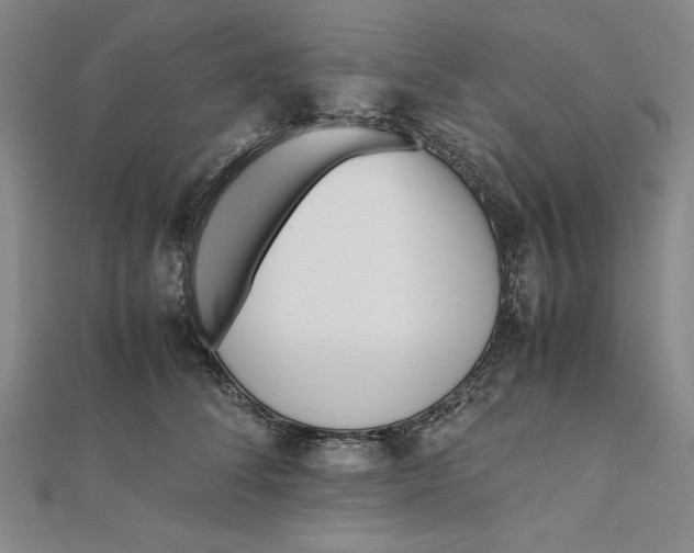 X0000112050708200908250959