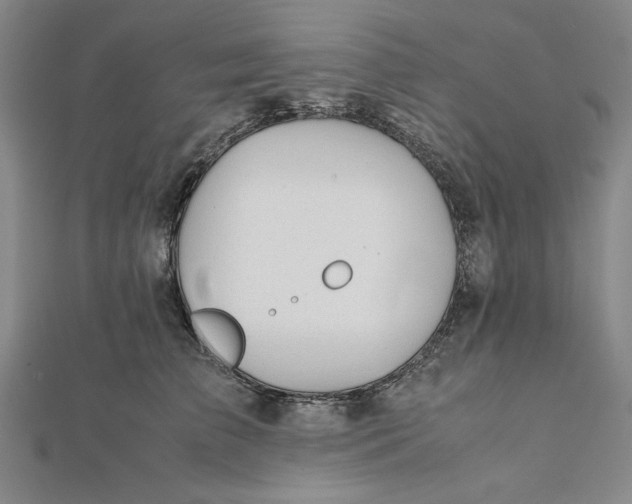 X0000112050709200908250959