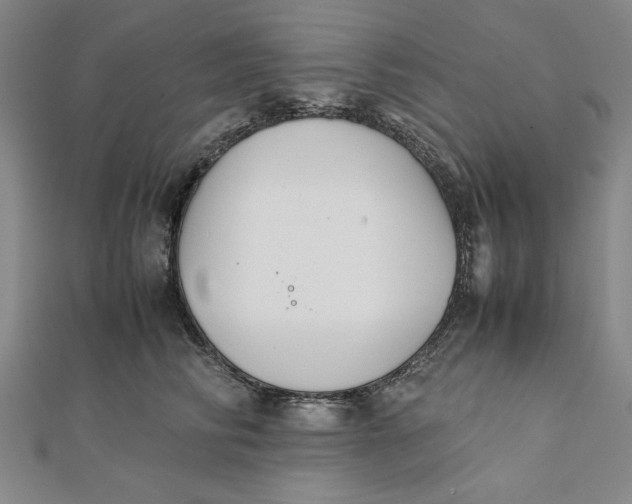 X0000112050710200908250959